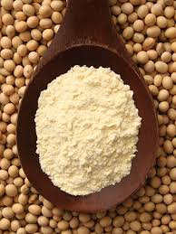 Beans Flour