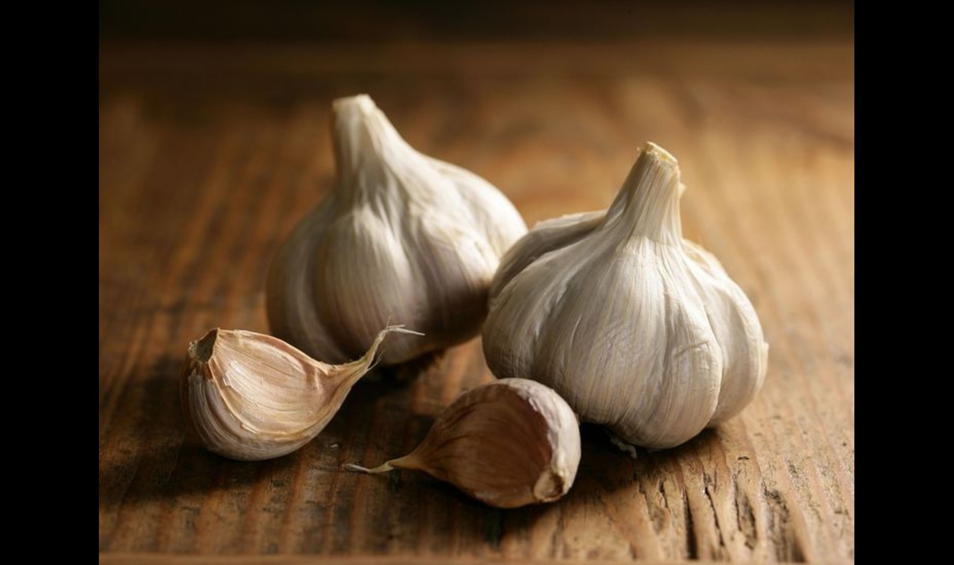 Garlic Export