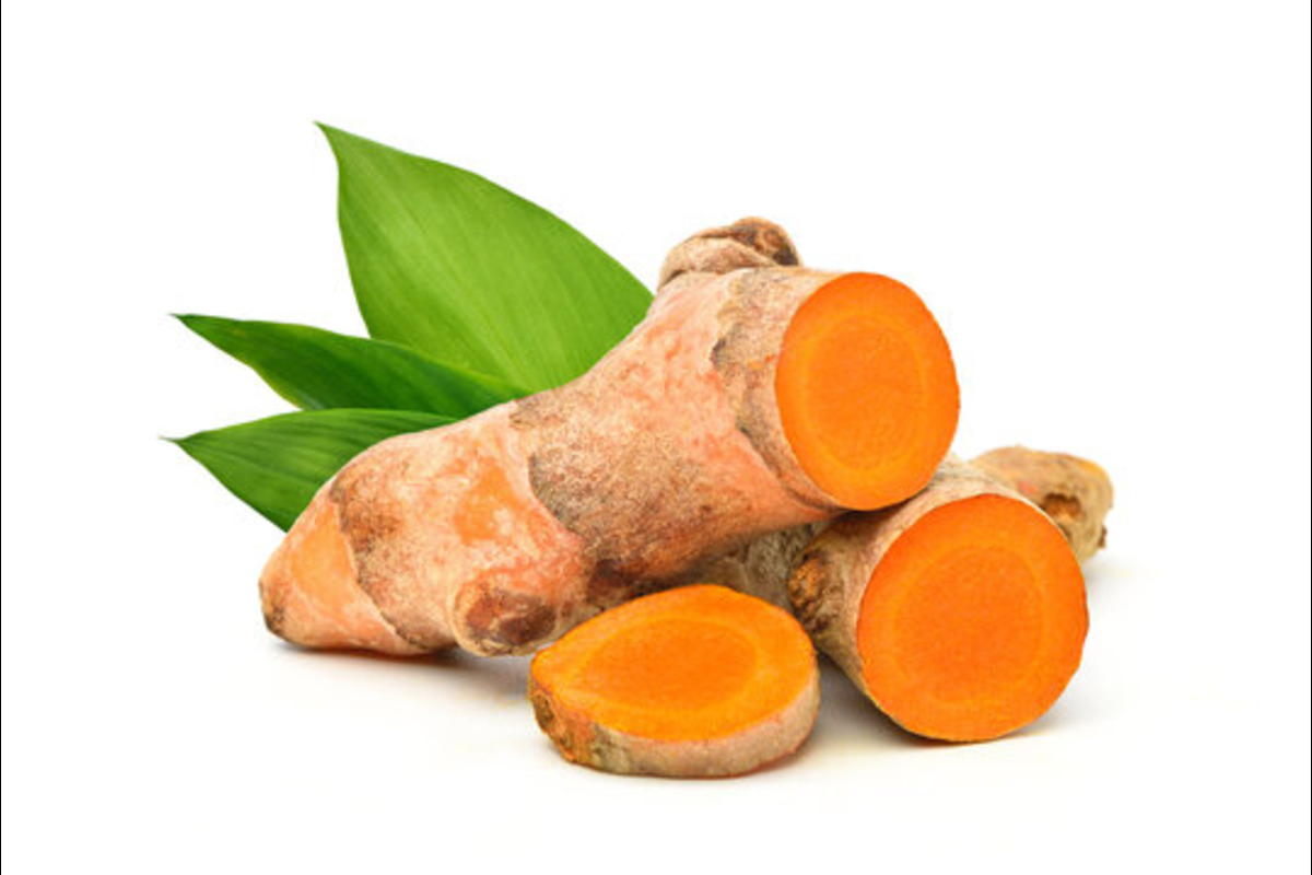 Turmeric Export